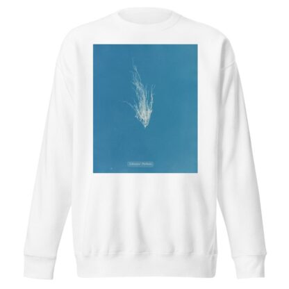 Ectocarpus Mertensii by Anna Atkins Sweatshirt