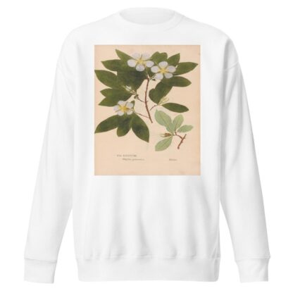 Ectypa vegetabilium Pl.088 by Christian Gottlieb Ludwig Sweatshirt
