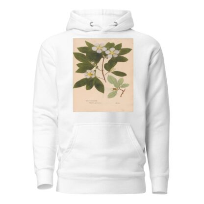 Ectypa vegetabilium Pl.088 by Christian Gottlieb Ludwig Hoodie