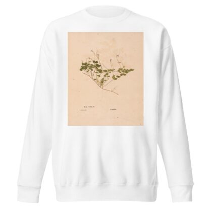 Ectypa vegetabilium Pl.142 by Christian Gottlieb Ludwig Sweatshirt