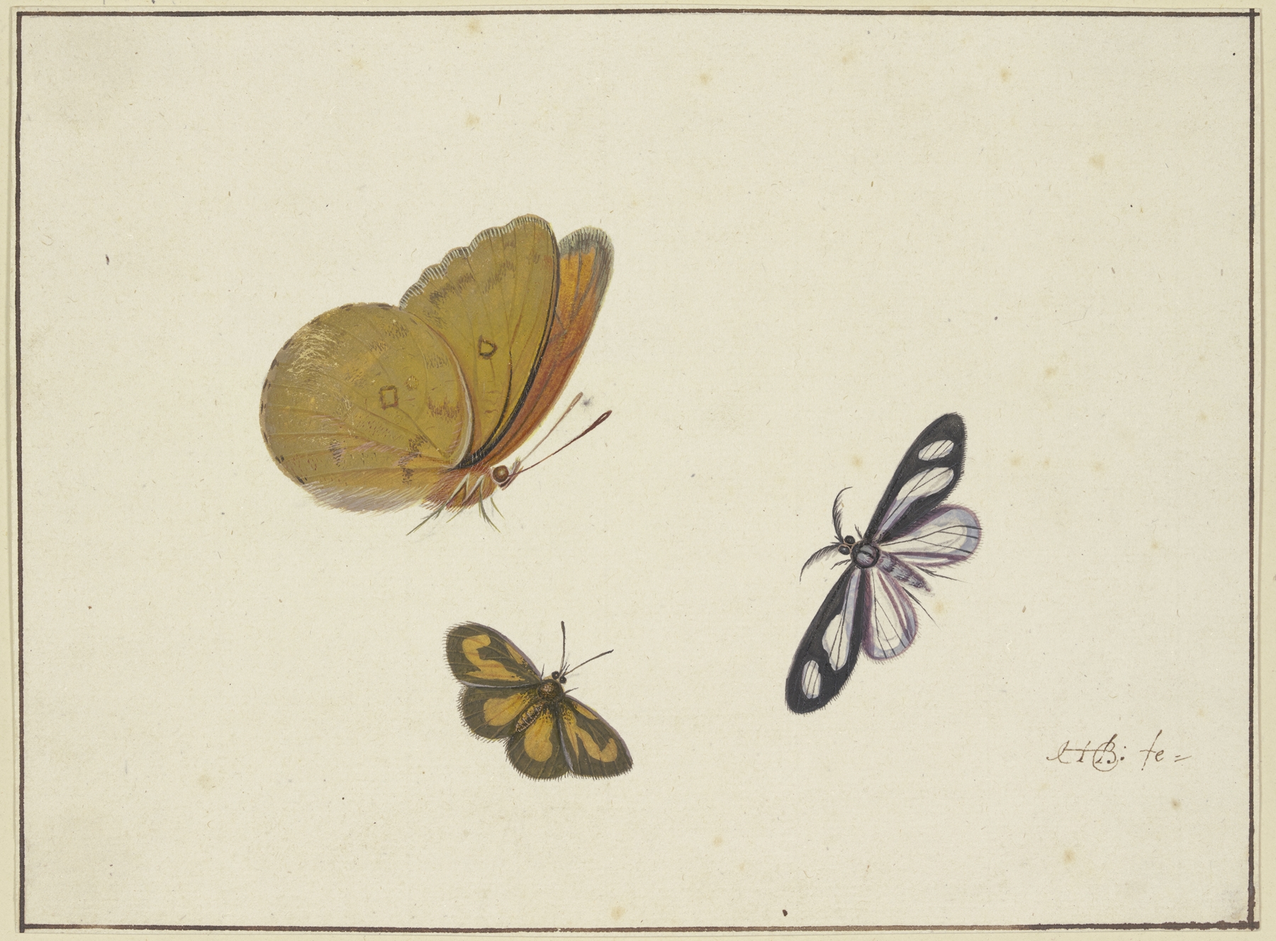 Ein gelber, ein schwarz-gelber und ein schwarz-weißer Schmetterling by Herman Henstenburgh