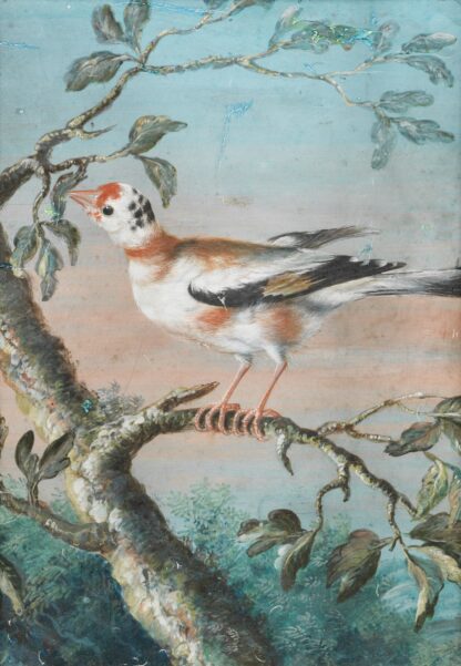 Ein Vogel Auf Einem Ast by Christoph Ludwig Agricola