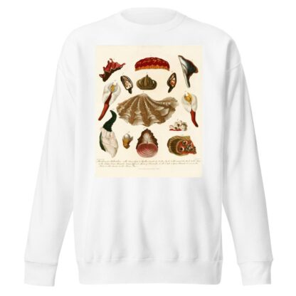 Encyclopaedia londinensis – Conchology Pl. 15 by John Chapman Sweatshirt
