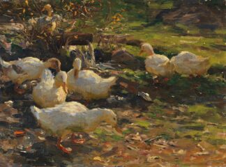 Enten am Brünnele by Alexander Koester