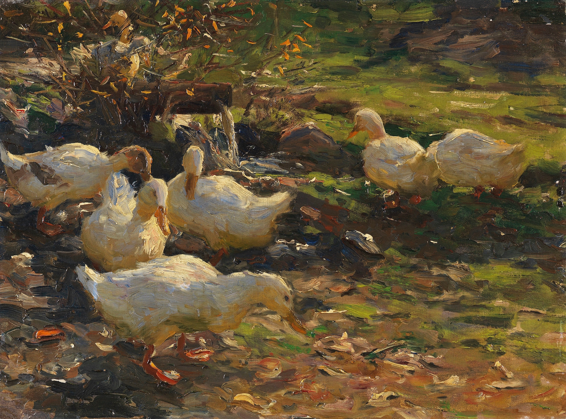 Enten am Brünnele by Alexander Koester