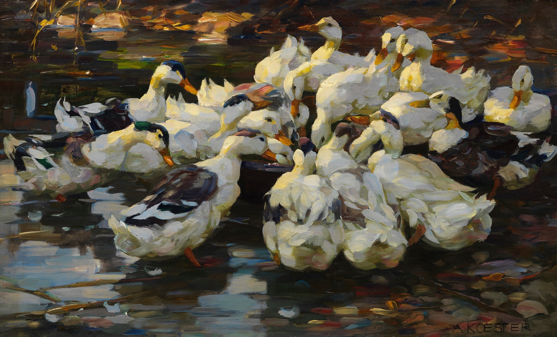 Enten am Freßnapf by Alexander Koester