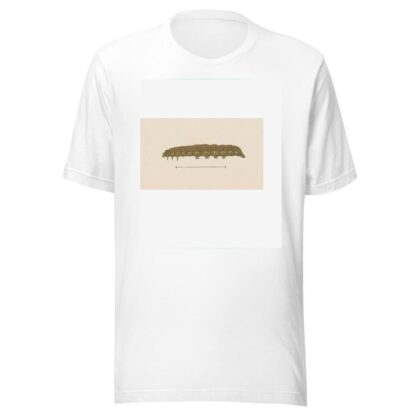 Entomology watercolour Pl.028 by George Hudson T-Shirt