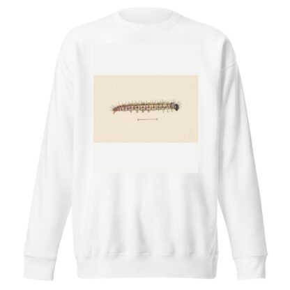 Entomology watercolour Pl.061 by George Hudson Sweatshirt