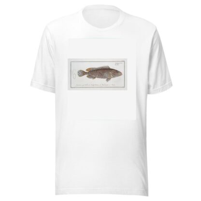 Epinephelus Merra, The Merra. by Marcus Elieser Bloch T-Shirt