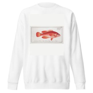 Epinephelus ruber, The red Wall-eye. by Marcus Elieser Bloch Sweatshirt