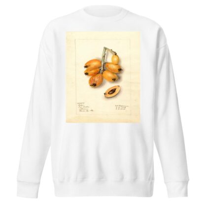 Eriobotrya japonica: Victor by Deborah Griscom Passmore Sweatshirt