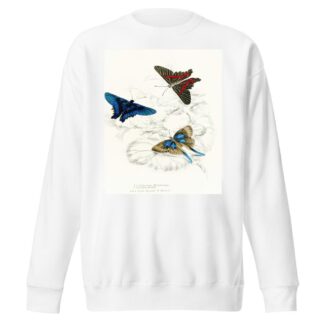 Erycina Melibaeus,Laxura Alcides by James Duncan Sweatshirt