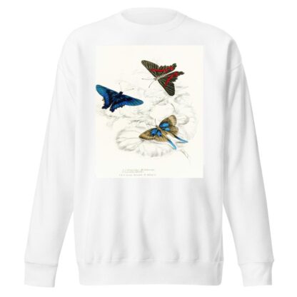 Erycina Melibaeus,Laxura Alcides by James Duncan Sweatshirt