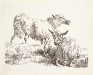 Et stående og et liggende får by Nicolaes Pietersz. Berchem