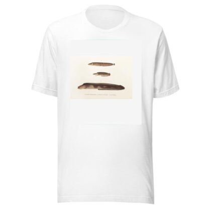 Fauna japonica Pl.087 by Philipp Franz Balthasar von Siebold T-Shirt