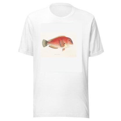 Fauna japonica Pl.101 by Philipp Franz Balthasar von Siebold T-Shirt