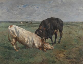 Fight between two young bulls by Alfred Verwee