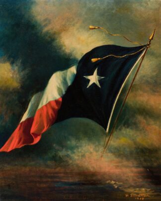 Flag of Texas by Harco Schutter