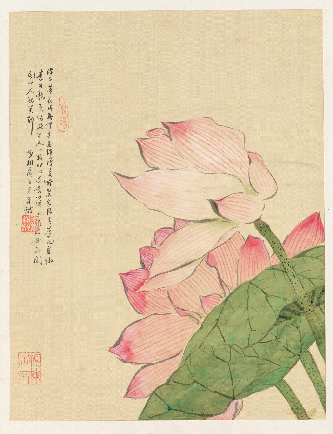Flowers Pl.04 by Liang Yuwei