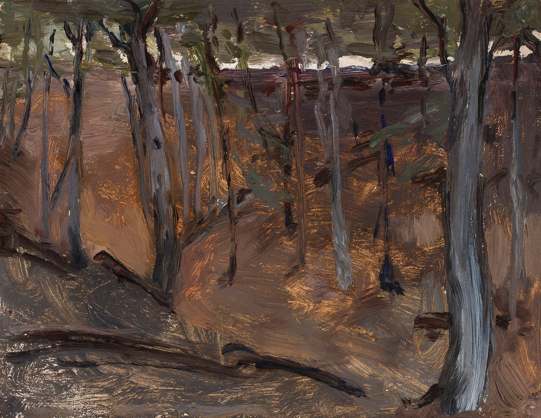 Forest – Finland by Jan Ciągliński