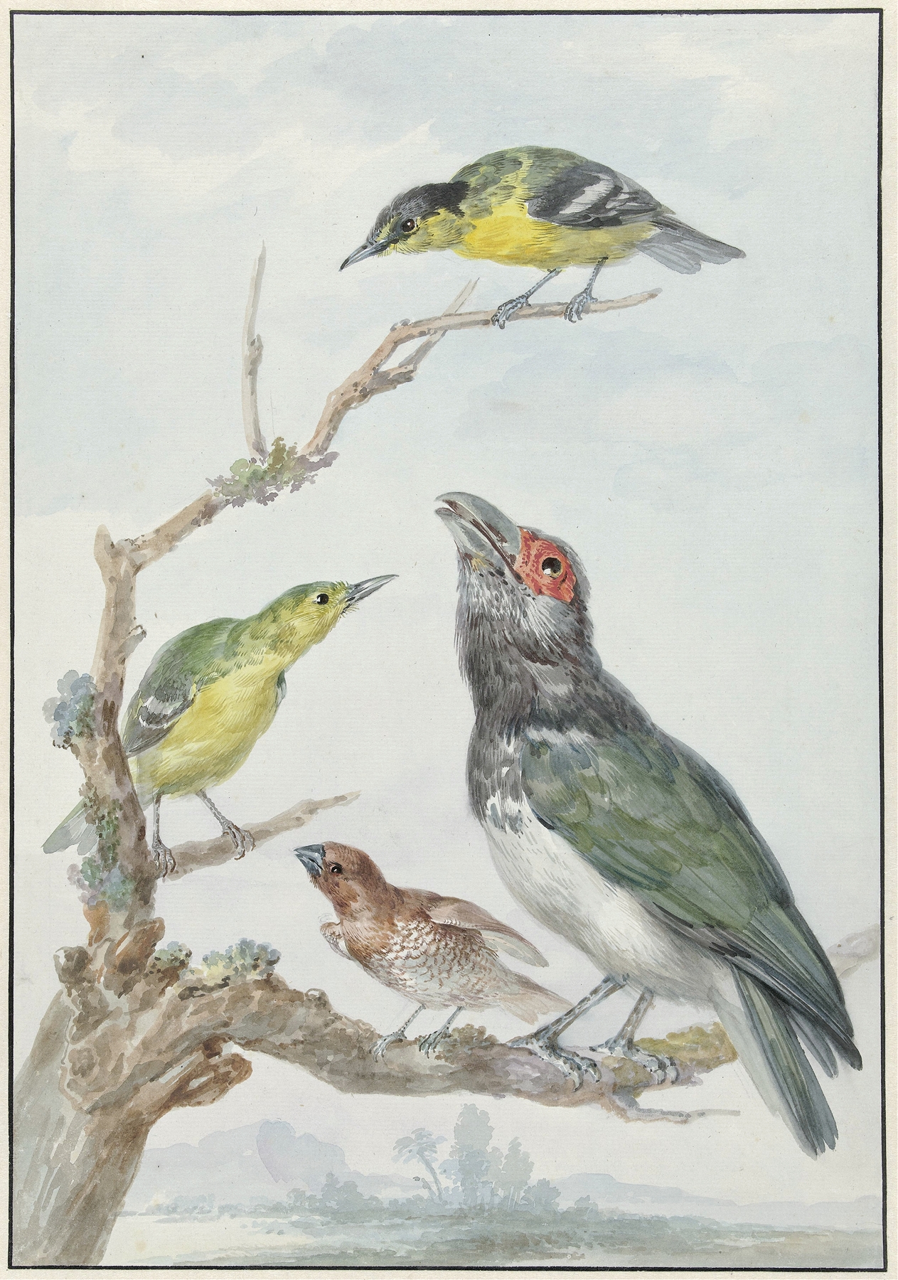 Four Different Birds on a Branch by Aert Schouman
