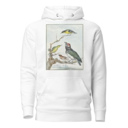 Four Different Birds on a Branch by Aert Schouman Hoodie