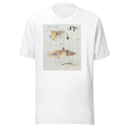 Four Fish by Luigi Balugani T-Shirt