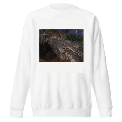 Fox Cubs by Bruno Liljefors Sweatshirt