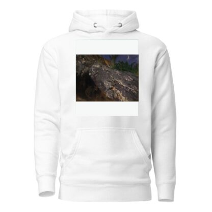 Fox Cubs by Bruno Liljefors Hoodie