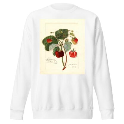 Fragaria: Indiana by Amanda Almira Newton Sweatshirt