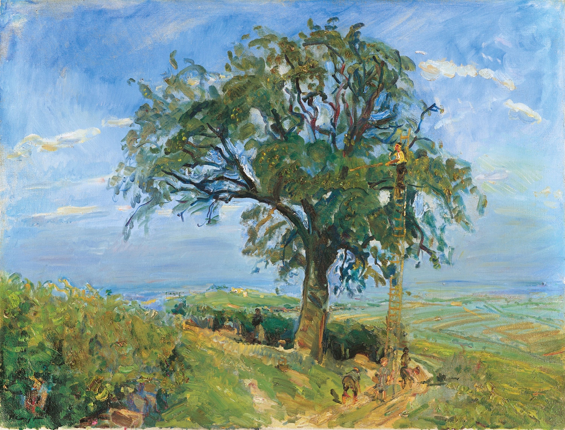 Fruit harvest in the Palatinate by Max Slevogt