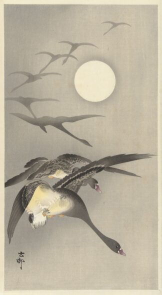 Geese at full moon by Ohara Koson