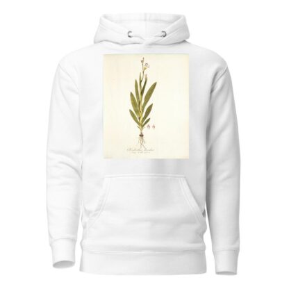 Gladiolus bicolor by Nikolaus Joseph Freiherr von Jacquin Hoodie