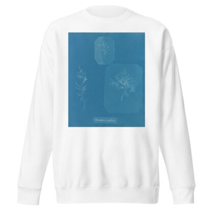 Gloiosiphonia capillaris by Anna Atkins Sweatshirt