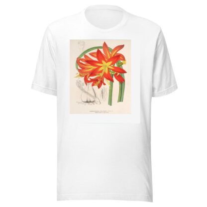 Habranthus fulgens by Charles Antoine Lemaire T-Shirt