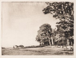 Hampstead Heath by Muirhead Bone