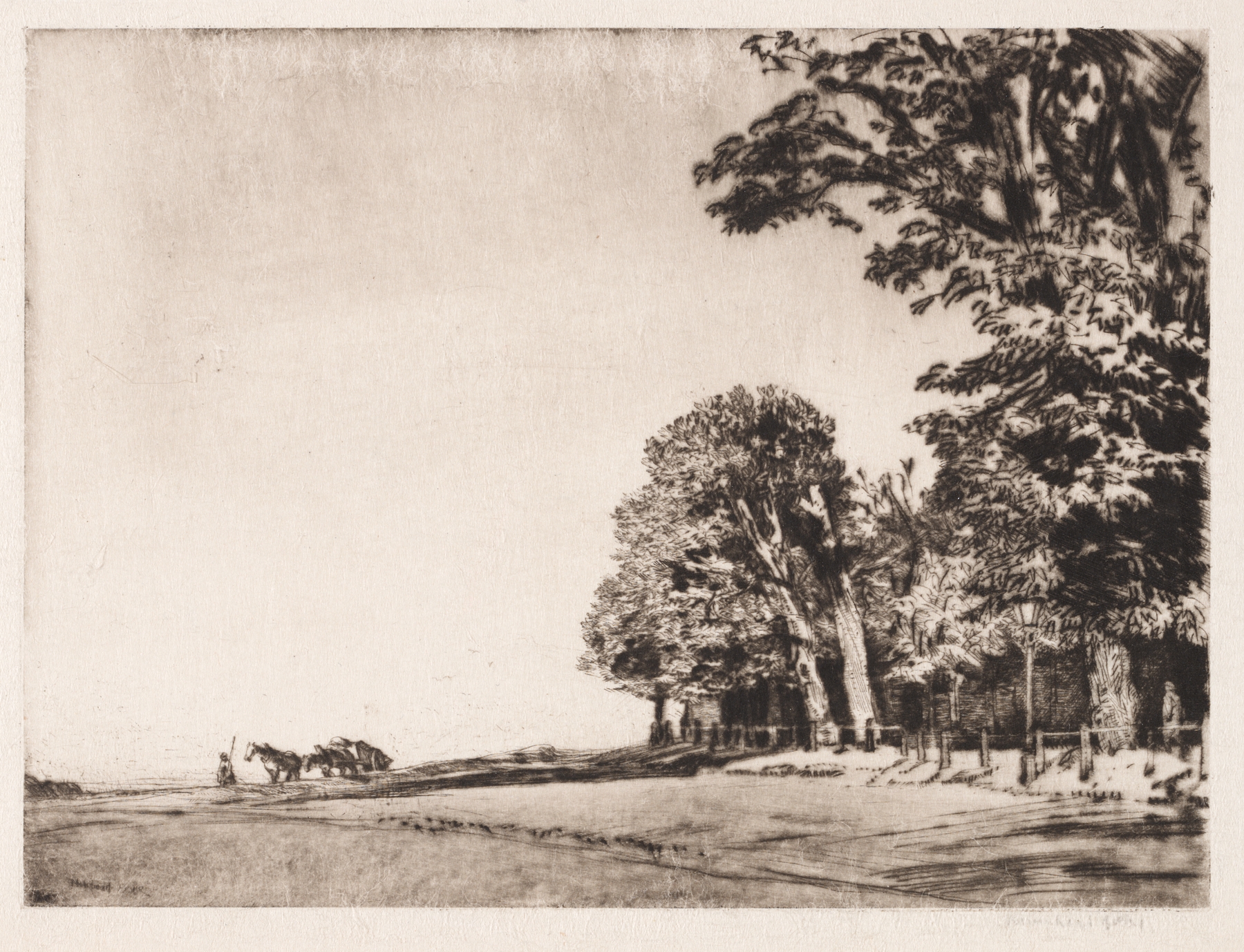 Hampstead Heath by Muirhead Bone