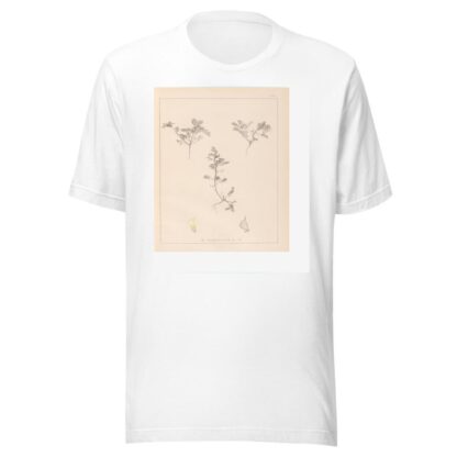 Herbier de la flore française Pl.0401 by Louis Antoine Cusin T-Shirt