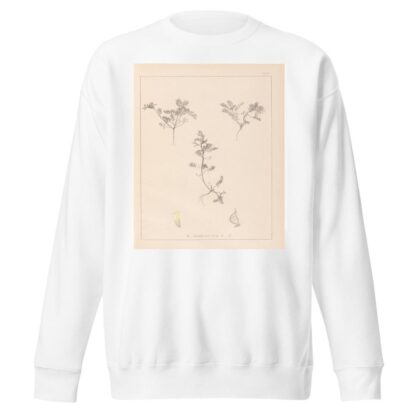 Herbier de la flore française Pl.0401 by Louis Antoine Cusin Sweatshirt
