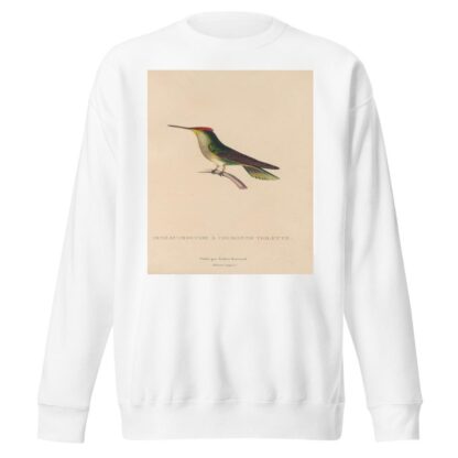 Histoire naturelle des oiseaux-mouches Pl.14 by René-Primevère Lesson Sweatshirt