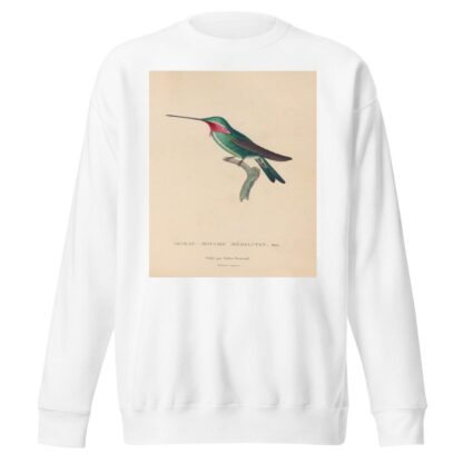 Histoire naturelle des oiseaux-mouches Pl.29 by René-Primevère Lesson Sweatshirt
