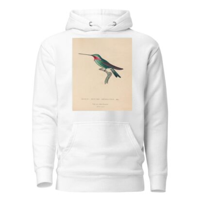 Histoire naturelle des oiseaux-mouches Pl.29 by René-Primevère Lesson Hoodie