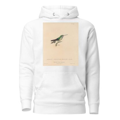 Histoire naturelle des oiseaux-mouches Pl.70 by René-Primevère Lesson Hoodie