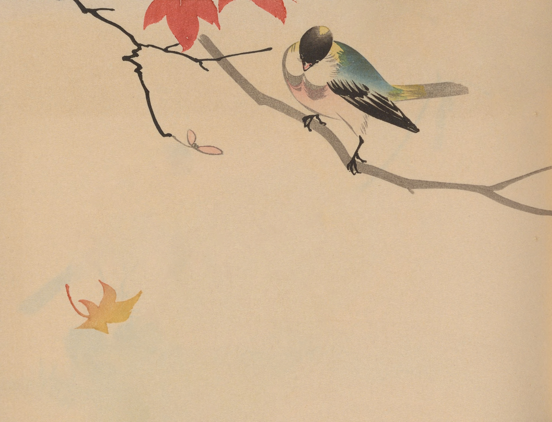 Hōgajō, Pl.09 by Jirō Takeuchi