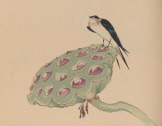 Hōgajō, Pl.11 by Jirō Takeuchi