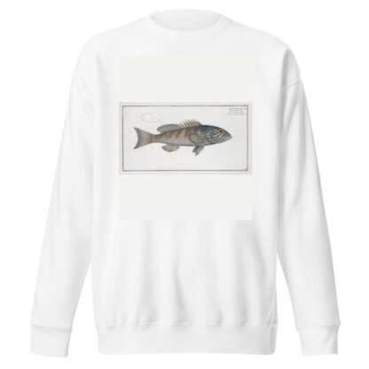 Holocentrus verescens, The green coloured Holocentre. by Marcus Elieser Bloch Sweatshirt
