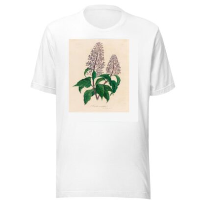 Hosta coerulea by Gaetano Savi T-Shirt