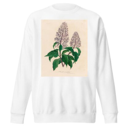 Hosta coerulea by Gaetano Savi Sweatshirt