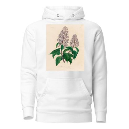 Hosta coerulea by Gaetano Savi Hoodie
