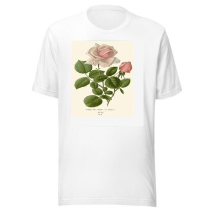 Hybrid Tea Rose – La France by Edward Step T-Shirt